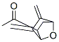 Ethanone, 1-[5,6-bis(methylene)-7-oxabicyclo[2.2.1]hept-2-yl]-, endo- (9CI) Structure