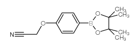 4-氰基甲氧基苯硼酸频那醇酯图片