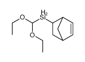 (5-BICYCLO[2.2.1]HEPT-2-ENYL)METHYLDIETHOXYSILANE图片