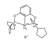 (cyclopentylPOCOP)Ni(η2-BH4) Structure