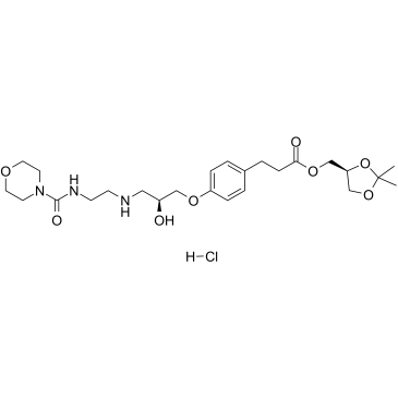 Landiolol Hydrochloride picture