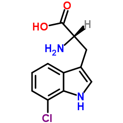 153-97-9 structure