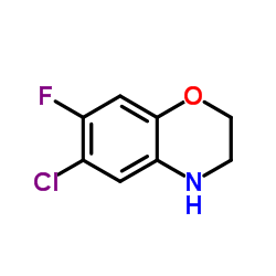 6-Chloro-7-fluoro-3,4-dihydro-2H-1,4-benzoxazine Structure