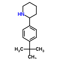 2-(4-TERT-BUTYLPHENYL)PIPERIDINE picture