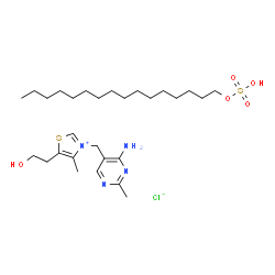 Thiamine cetylsulfate Structure