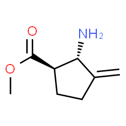 Cyclopentanecarboxylic acid, 2-amino-3-methylene-, methyl ester, trans- (9CI) Structure