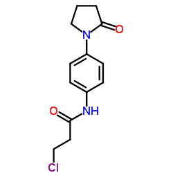 3-Chloro-N-[4-(2-oxo-1-pyrrolidinyl)phenyl]propanamide图片