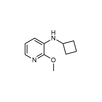 N-环丁基-2-甲氧基吡啶-3-胺结构式