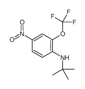 N-tert-butyl-4-nitro-2-(trifluoromethoxy)aniline structure