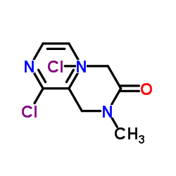 2-Chloro-N-[(3-chloro-2-pyrazinyl)methyl]-N-methylacetamide结构式