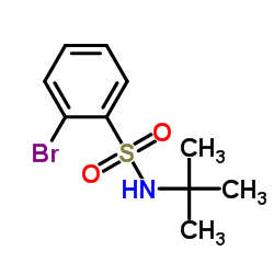 2-Bromo-N-(2-methyl-2-propanyl)benzenesulfonamide Structure