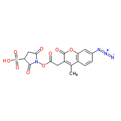 1-[2-(7-Azido-4-methyl-2-oxo-2H-chromen-3-yl)acetoxy]-2,5-dioxo-3-pyrrolidinesulfonic acid结构式