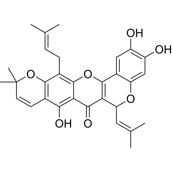 异叶波罗蜜环黄酮素图片