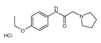 N-(4-ethoxyphenyl)-2-(2,3,4,5-tetrahydropyrrol-1-yl)acetamide chloride picture