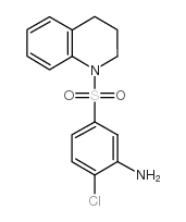 1-(3-氨基-4-氯苯磺酰基)-1,2,3,4-四氢喹啉图片