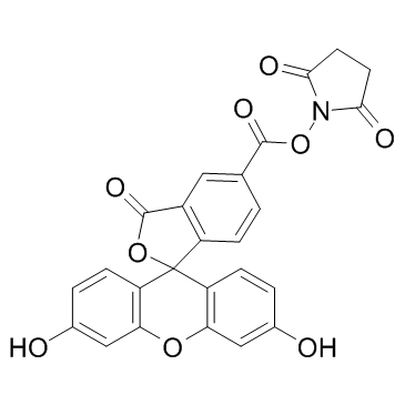 92557-80-7 structure