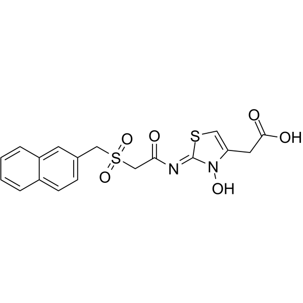 BNS structure