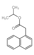 1-Naphthaleneaceticacid, 1-methylethyl ester picture