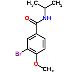 3-Bromo-N-isopropyl-4-methoxybenzamide结构式