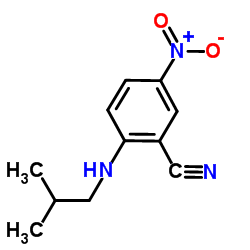 2-(Isobutylamino)-5-nitrobenzonitrile structure