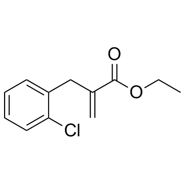 INF 39 Structure