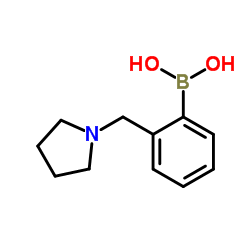 [2-(1-Pyrrolidinylmethyl)phenyl]boronic acid picture