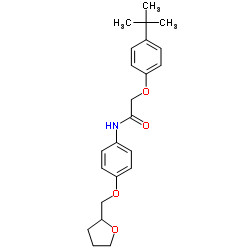 2-[4-(2-Methyl-2-propanyl)phenoxy]-N-[4-(tetrahydro-2-furanylmethoxy)phenyl]acetamide结构式