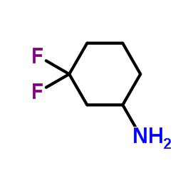 3,3-二氟环己-1-胺结构式