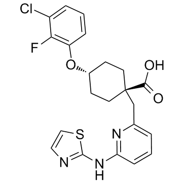 1010085-13-8 structure