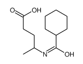 4-(cyclohexanecarbonylamino)pentanoic acid Structure