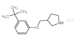 3-(tert-Butyl)phenyl 3-pyrrolidinylmethyl ether hydrochloride结构式