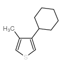 3-环己基-4-甲基噻吩结构式