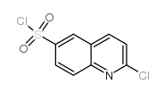 2-chloroquinoline-6-sulfonyl chloride picture