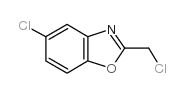 5-氯-2-氯甲基-1,3-苯并噁唑图片