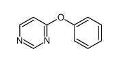 Pyrimidine, 4-phenoxy- (9CI)结构式