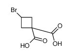 3-溴-1,1-环丁烷二羧酸结构式