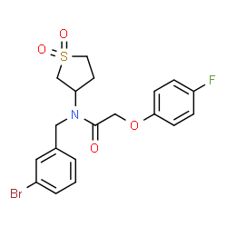 N-(3-bromobenzyl)-N-(1,1-dioxidotetrahydro-3-thienyl)-2-(4-fluorophenoxy)acetamide structure