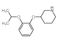 3-(2-Isopropoxyphenoxy)piperidine picture