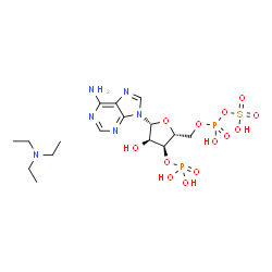 腺苷 3′-磷酸 5′-磷酰硫酸图片