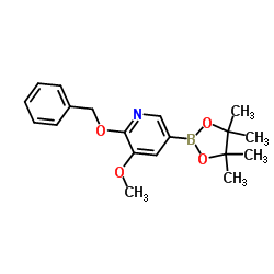 1350619-24-7 structure