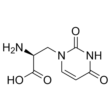 (S)-Willardiine picture