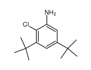 3,5-di-tert-butyl-2-chloroaniline结构式