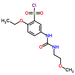 2-ETHOXY-5-[3-(2-METHOXY-ETHYL)-UREIDO]-BENZENE SULFONYL CHLORIDE Structure