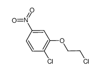 1-chloro-2-(2-chloro-ethoxy)-4-nitrobenzene结构式