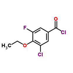 3-Chloro-4-ethoxy-5-fluorobenzoyl chloride结构式