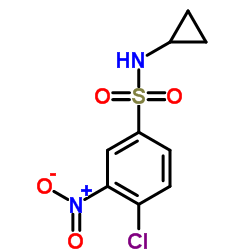 4-Chloro-N-cyclopropyl-3-nitrobenzenesulfonamide结构式