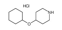 4-(cyclohexyloxy)piperidine hydrochloride结构式