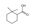 2,2-dimethylcyclohexane-1-carboxylic acid Structure