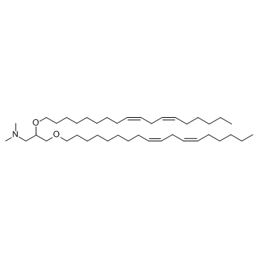 DLinDMA Structure