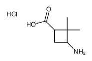 3-amino-2,2-dimethylcyclobutane-1-carboxylic acid,hydrochloride Structure